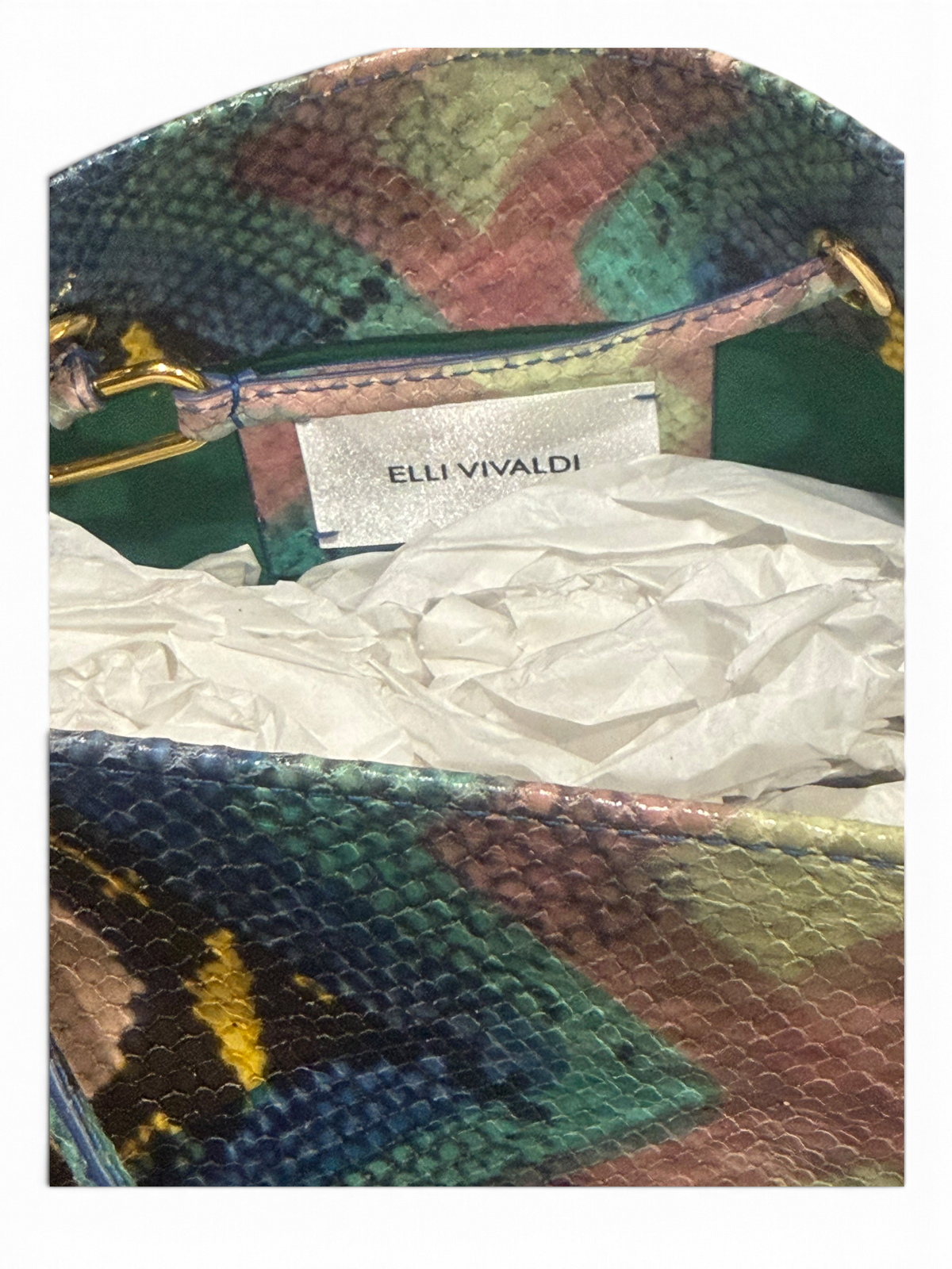 ELLI VIVALDI LA TABOT_087 LIMITED SERIES MULTICOLOR PRINTED SNAKESKIN NIB